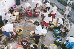 People gathered around basins in a courtyard. The image records a moment; the circumstances require context.